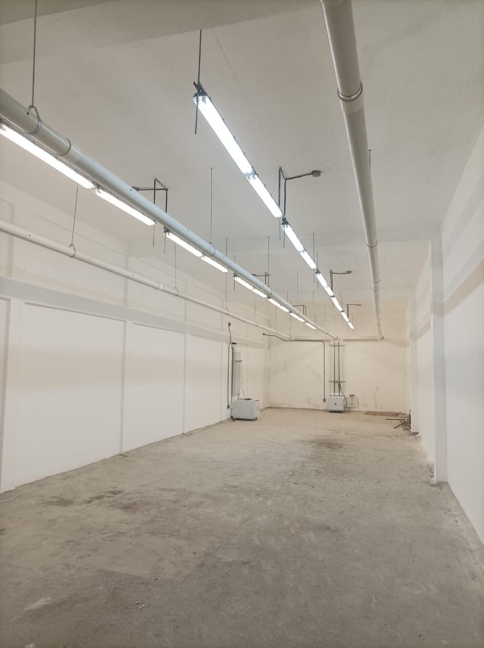 WhatsApp Image 2025-03-14 at 19.48.21 WhatsApp Image 2025-03-14 at 19.48.21